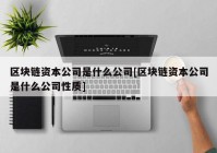 区块链资本公司是什么公司[区块链资本公司是什么公司性质]